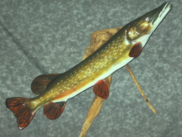 pike.JPG
