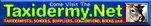 taxinetbanner.gif